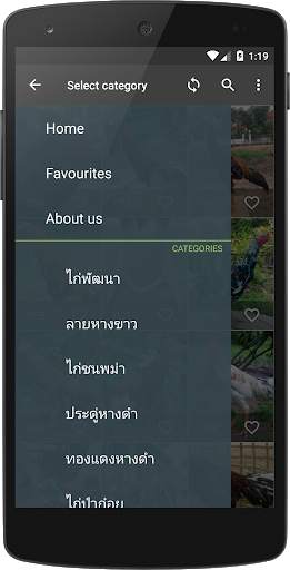 วอลเปเปอร์ไก่ชนไทย screenshot 3