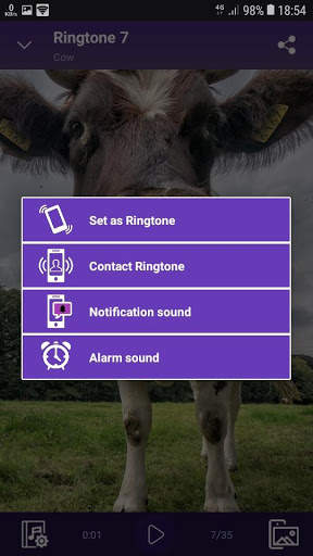 Cow - RINGTONES and WALLPAPERS screenshot 4