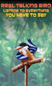 Real Talking Bird screenshot 2