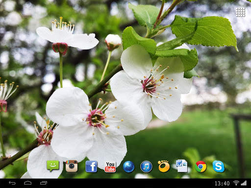 Spring Flowers Live Wallpaper screenshot 7