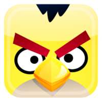Crazy Bird