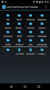 Usb Flash Drive File Transfer screenshot 3