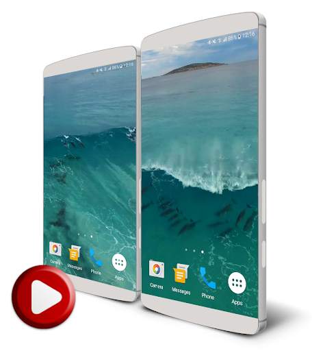 Dolphins Video Live Wallpaper screenshot 1