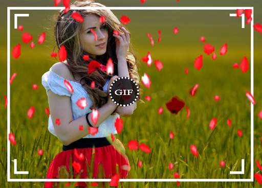 FlowerFall Gif Photo Editor 2019 4 تصوير الشاشة