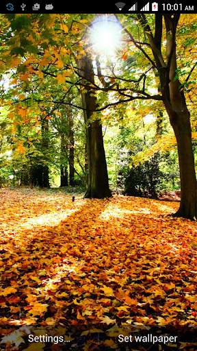 Autumn Live Wallpaper screenshot 6