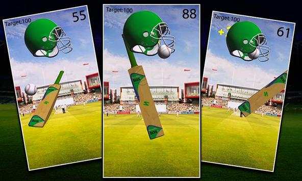 World Cricket Super League screenshot 5