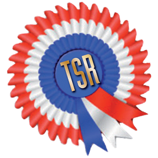 Train, Show, Reward icon