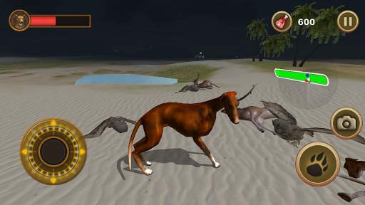 Bird Dog Simulator screenshot 3