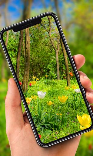 Nature Live Wallpaper screenshot 1