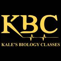 KBC on 9Apps