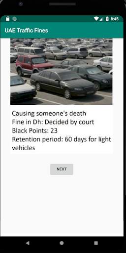 UAE TRAFFIC FINES screenshot 3