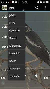 Kicau burung masteran screenshot 2