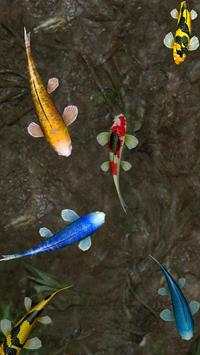 3D Koi Fish Wallpaper HD - 3D Fish Live Wallpapers screenshot 7