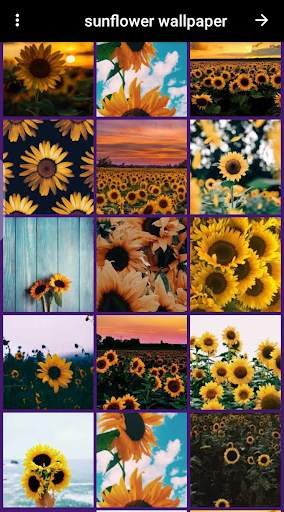 lavender wallpaper screenshot 6