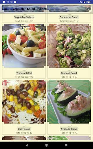 Vegetable Salad Recipes screenshot 9