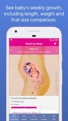 Woman’s Pregnancy screenshot 1