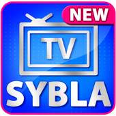 Sybla Tv Simulator 📺 📺 5.0