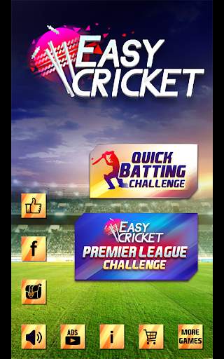 Easy Cricket: Challenge screenshot 9