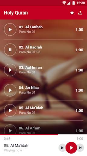 Holy Quran screenshot 4