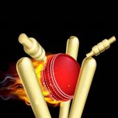 Play Cricket Game icon