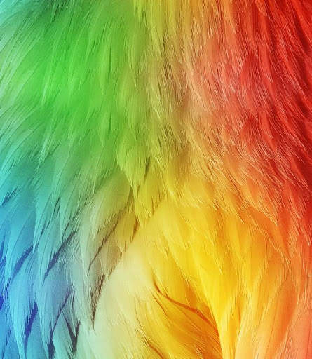 Best Wallpapers for SamSung screenshot 4