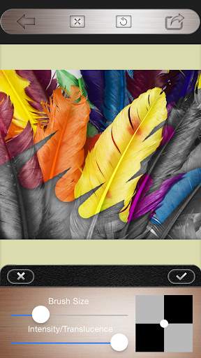 Color Effects Free screenshot 4