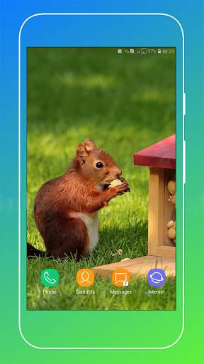 Squirrel Wallpaper screenshot 16