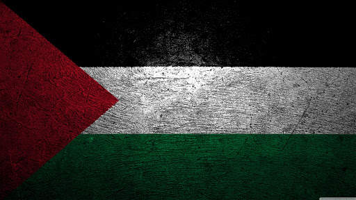 Palestine Flag Wallpaper screenshot 4