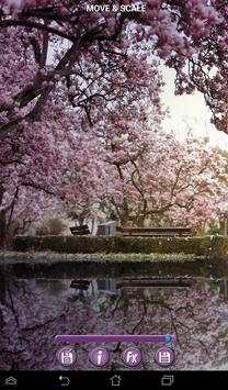 Spring Flowers Backgrounds HD screenshot 7