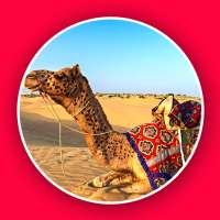 Rajasthani Ringtone - Marwadi Ringtone 2021 icon