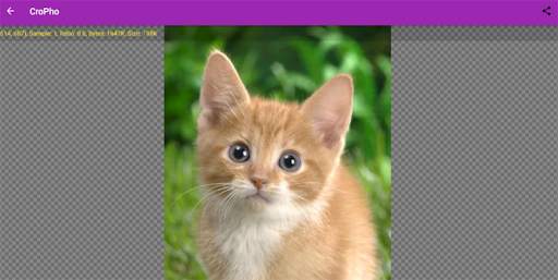 Free Photo Editor screenshot 9