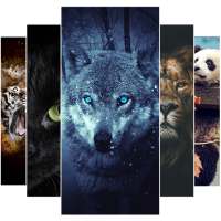 Animal Wallpaper 2021 on 9Apps