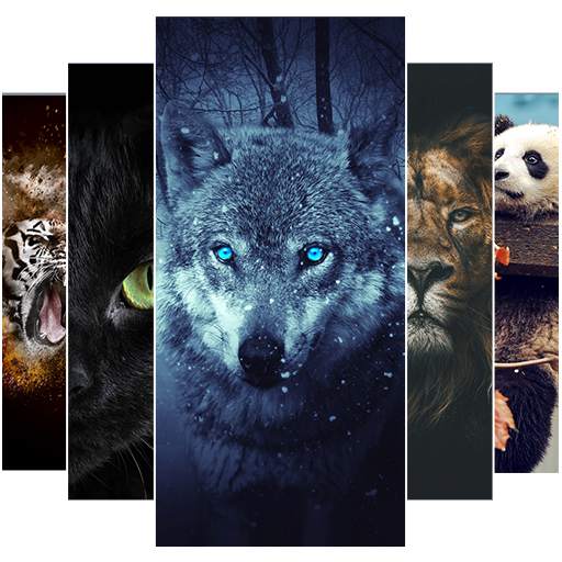 Animal Wallpaper 2021 1.3