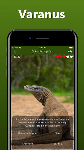 Animals Quiz - Learn All Mammals, Birds and more! screenshot 8