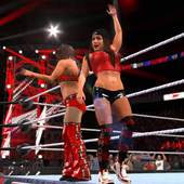 Smackdown WWE Pro Updates 17.1