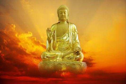Buddha Wallpapers screenshot 1