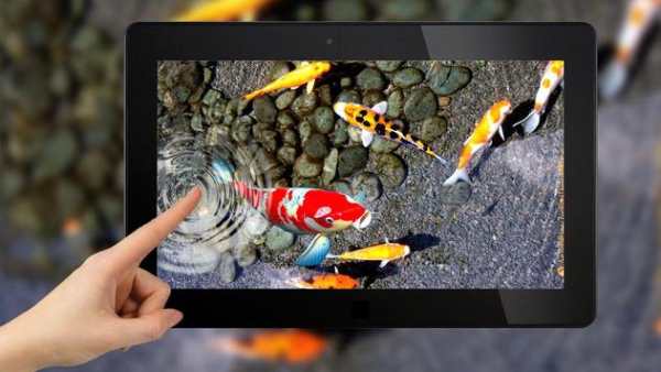 3D Koi Fish Wallpaper HD - 3D Fish Live Wallpapers screenshot 10