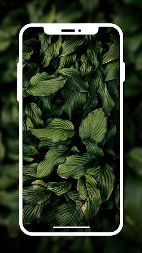 HD Wallpaper & 4k Wallpaper screenshot 1