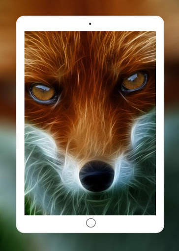 Fox Wallpaper HD 9 تصوير الشاشة