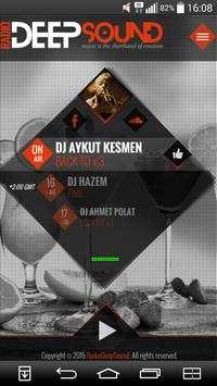 Radio Deep Sound screenshot 1