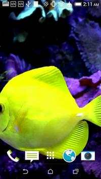 Fish Live Video Wallpaper screenshot 4