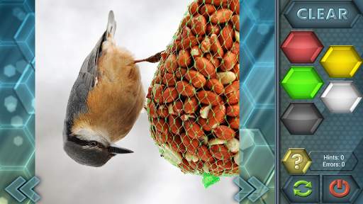 HexLogic - Birds screenshot 4