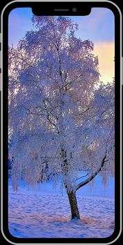 Nature Wallpapers 6 تصوير الشاشة