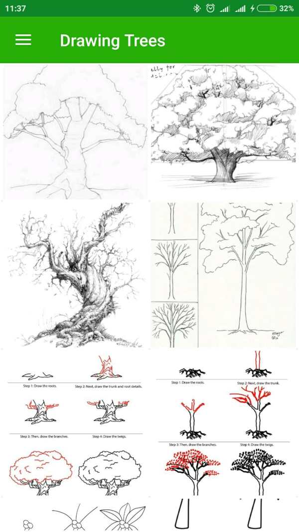 Drawing Trees 2 تصوير الشاشة