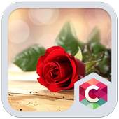 Beautiful Red Rose Theme 4.8.7