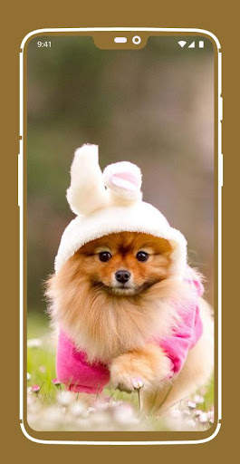 Cute Puppy Wallpapers screenshot 8