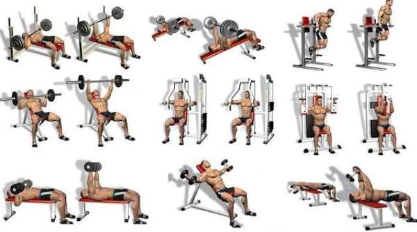Best Chest Workout Free screenshot 1