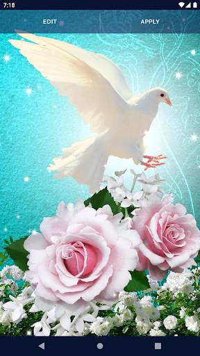 Dove Romantic Live Wallpaper screenshot 5