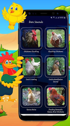 Hen Sound - Chicken Sounds - Rooster Sound screenshot 4