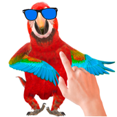 Tickle Talking Parrot icon